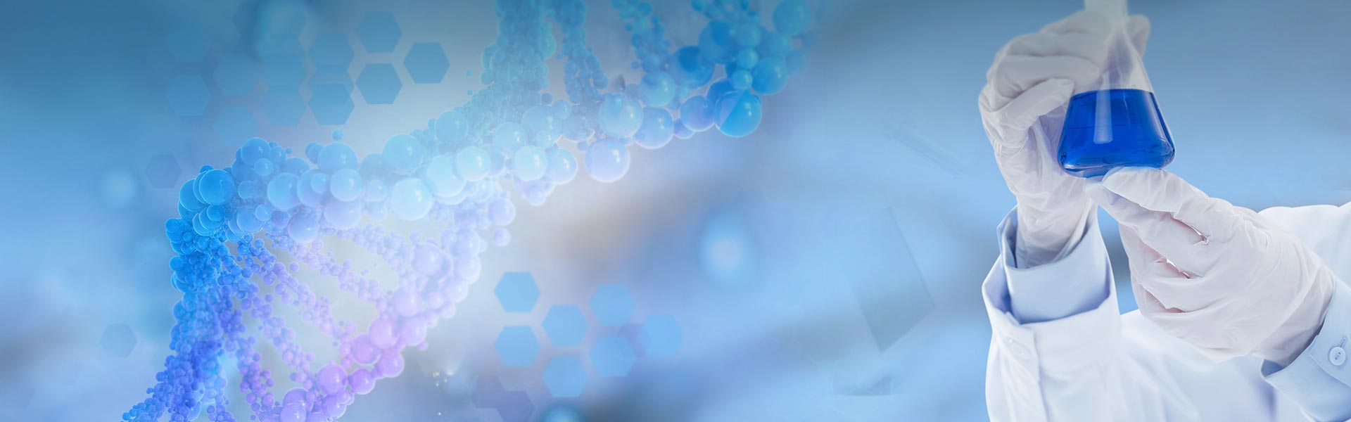 தயாரிப்புகள்